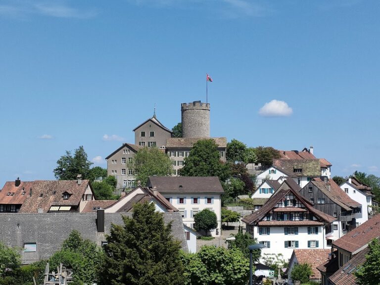 Regensberg Castle: A Medieval Hill Castle and Administrative Seat in Switzerland