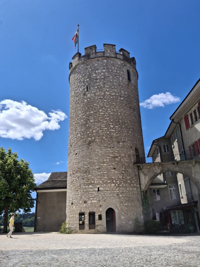 Regensberg Castle: A Medieval Hill Castle and Administrative Seat in Switzerland 2 Regensberg Castle