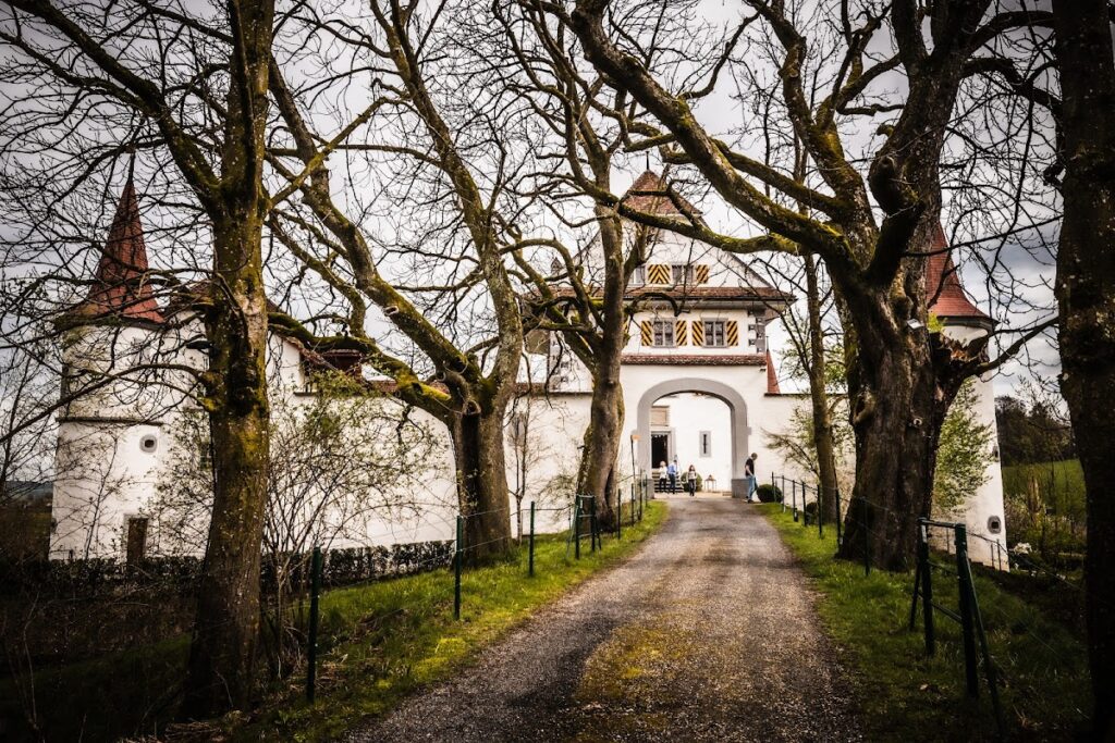 Wyher Castle: A Preserved Moated Castle in Switzerland 5 Wyher Castle