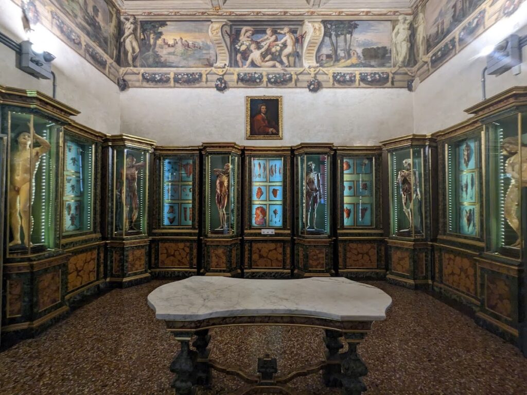 Palazzo Poggi: A University and Museum Palace in Bologna 1 Palazzo Poggi