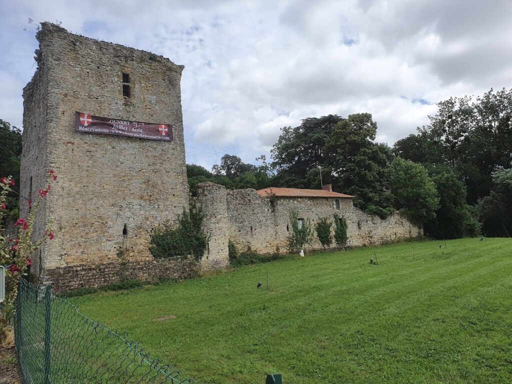 Vieux-Château des Essarts: A Ruined Medieval Castle in France 2 Vieux-Château des Essarts