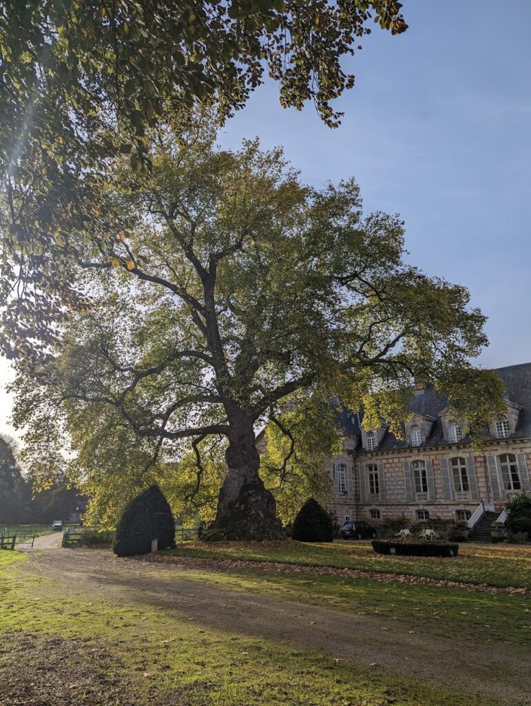 Château de Fervaques: A Renaissance Château in Normandy 2 Château de Fervaques