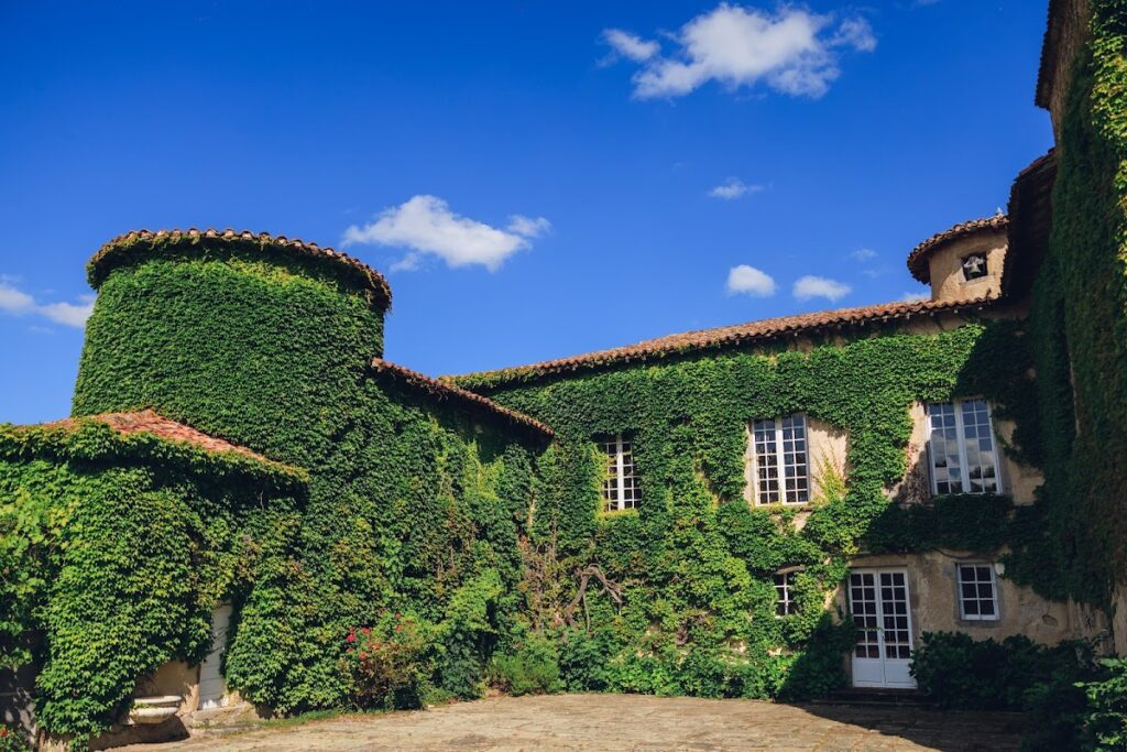 Château de Montrouge: A Sixteenth-Century Château in Savigneux, France 2 château de Montrouge