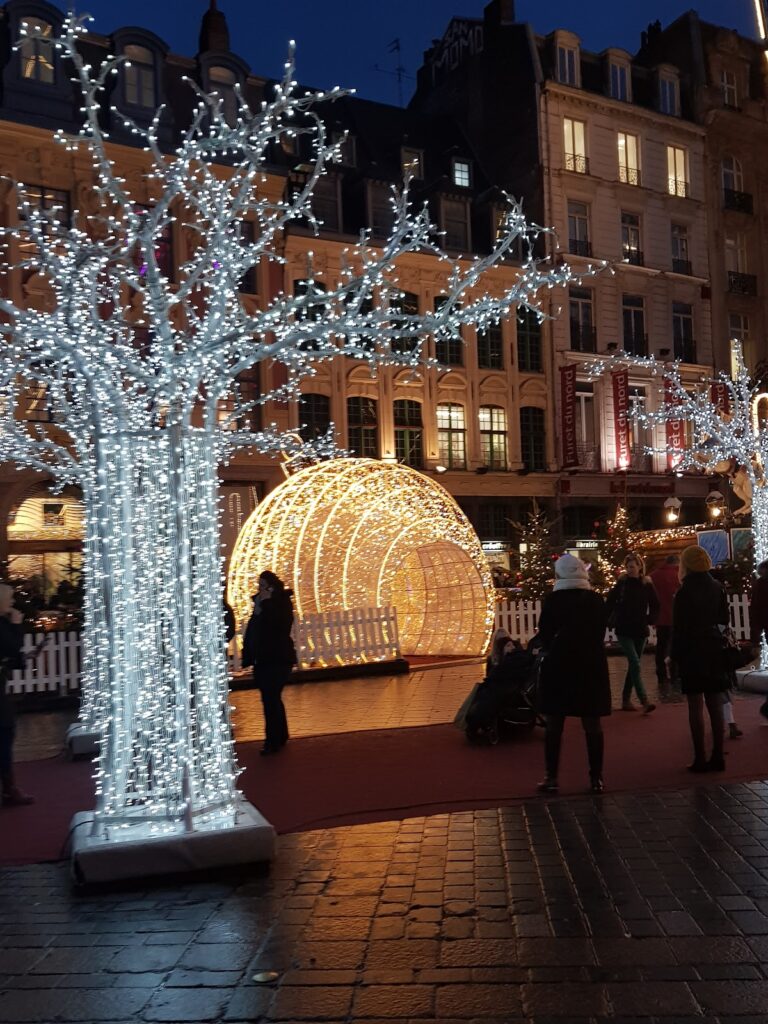Palais Rihour: A Ducal Palace and Historic Town Hall in Lille 4 Palais Rihour