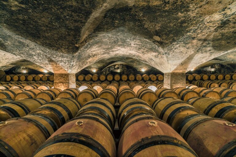 Domaine du Château de Meursault: A Historic Burgundy Wine Estate in France