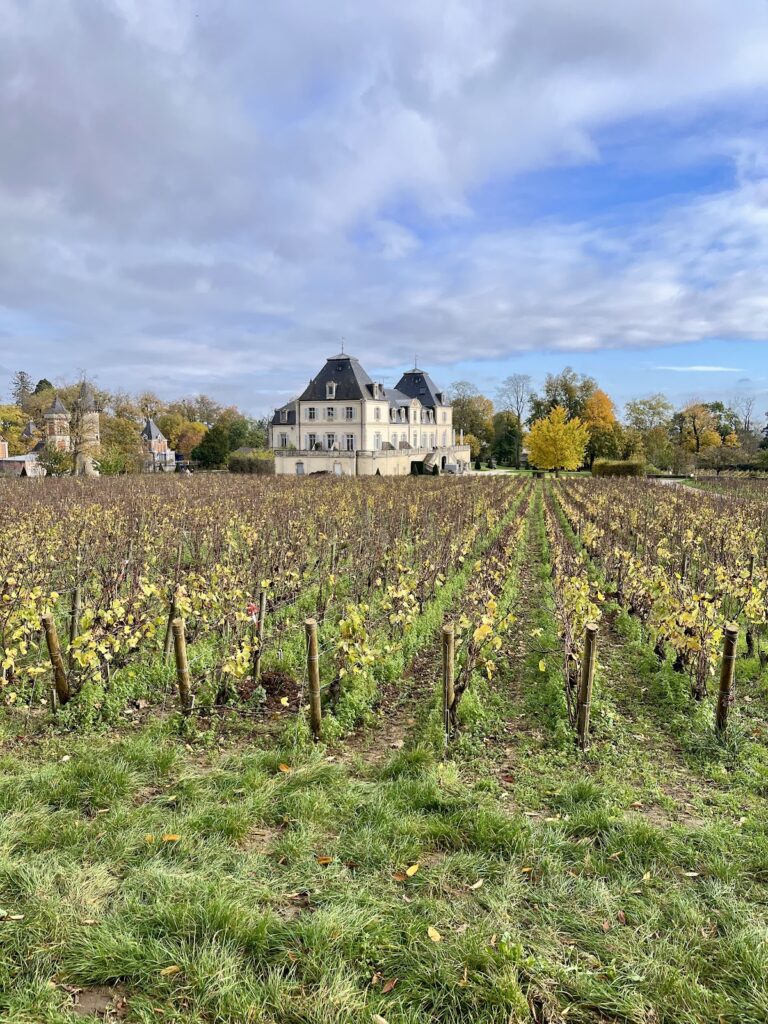 Domaine du Château de Meursault: A Historic Burgundy Wine Estate in France 5 Domaine du Château de Meursault
