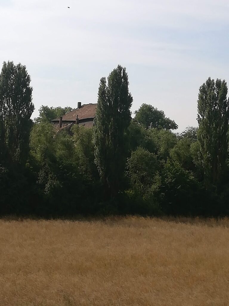 Pürkelgut Castle: A Former Water Castle in Regensburg 3 Schloss Pürkelgut