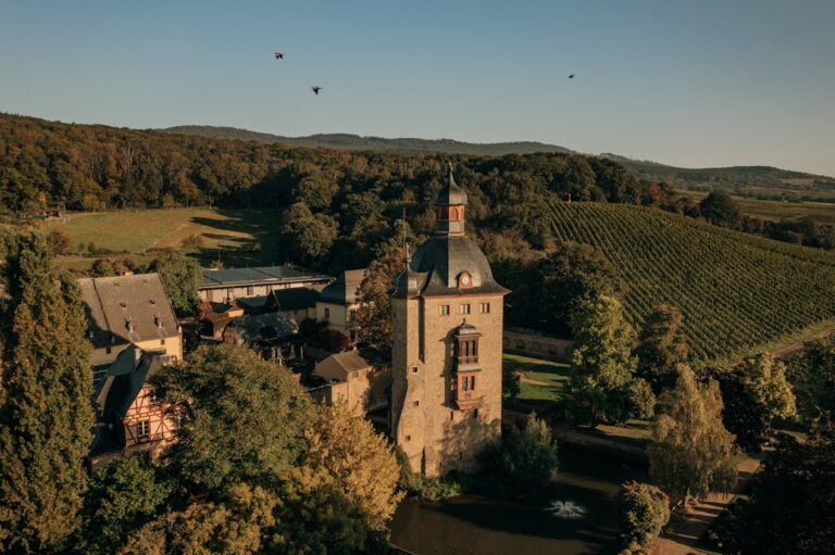 Schloss Vollrads: A Water Castle and Wine Estate in Germany