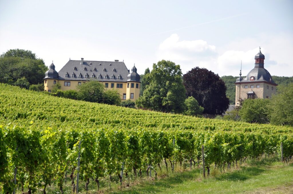 Schloss Vollrads: A Water Castle and Wine Estate in Germany 2 Schloss Vollrads