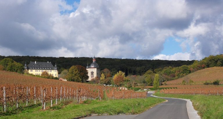 Schloss Vollrads: A Water Castle and Wine Estate in Germany