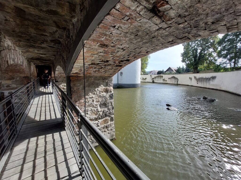 Schloss Großkmehlen: A Renaissance Water Castle in Germany 5 Schloss Großkmehlen