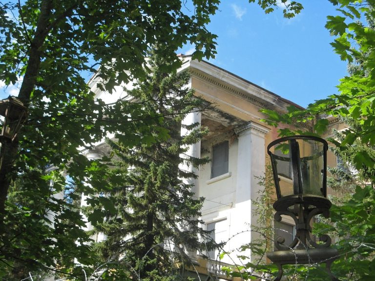 Olga Paley Palace in Tsarskoye Selo: A Former Imperial Residence