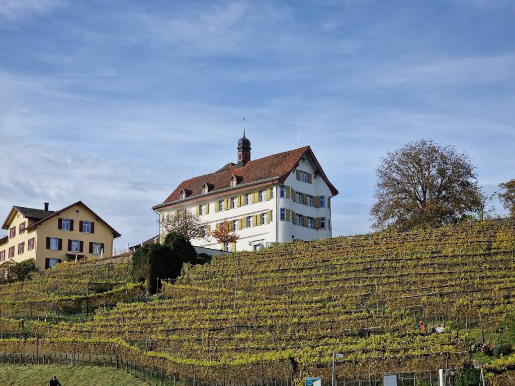 Dottenwil Castle: A Historic Estate and Cultural Center in Switzerland 3 Dottenwil Castle