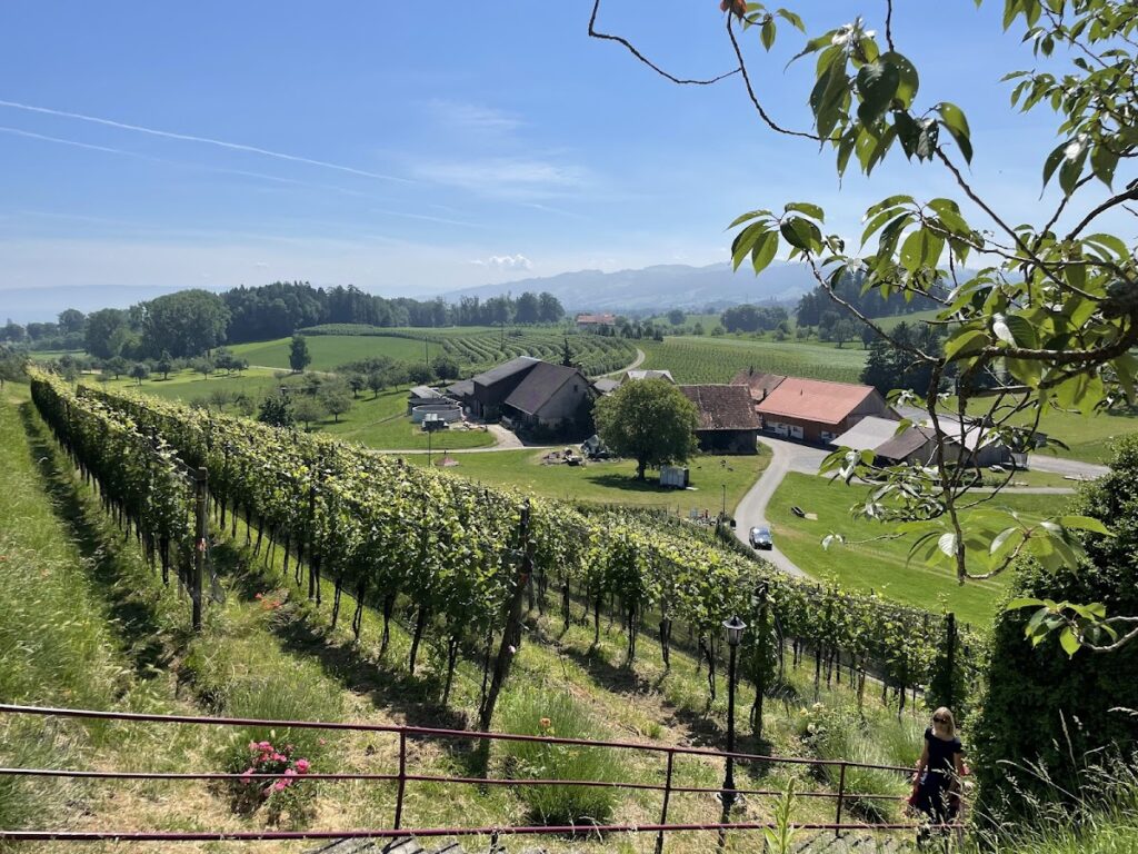 Dottenwil Castle: A Historic Estate and Cultural Center in Switzerland 4 Dottenwil Castle
