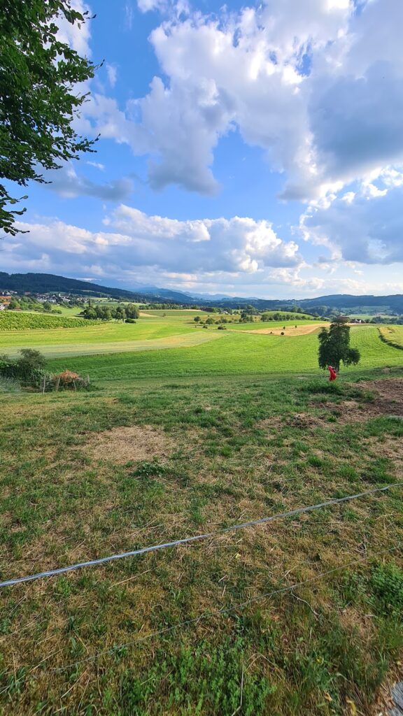 Dottenwil Castle: A Historic Estate and Cultural Center in Switzerland 5 Dottenwil Castle