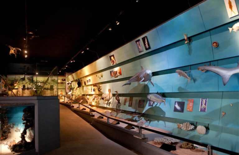 Palazzo Pompei: A Renaissance Palace and Natural History Museum in Verona
