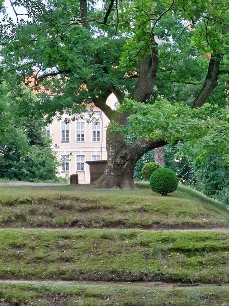 Raczyński Palace in Rogalin: A Late-Baroque Aristocratic Residence in Poland 3 Raczyński Palace in Rogalin