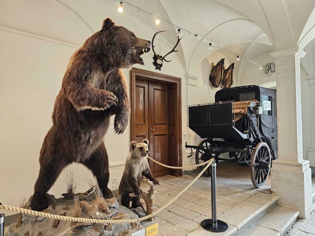 Wolfsthurn Castle: A Baroque Residence in South Tyrol 5 Wolfsthurn Castle