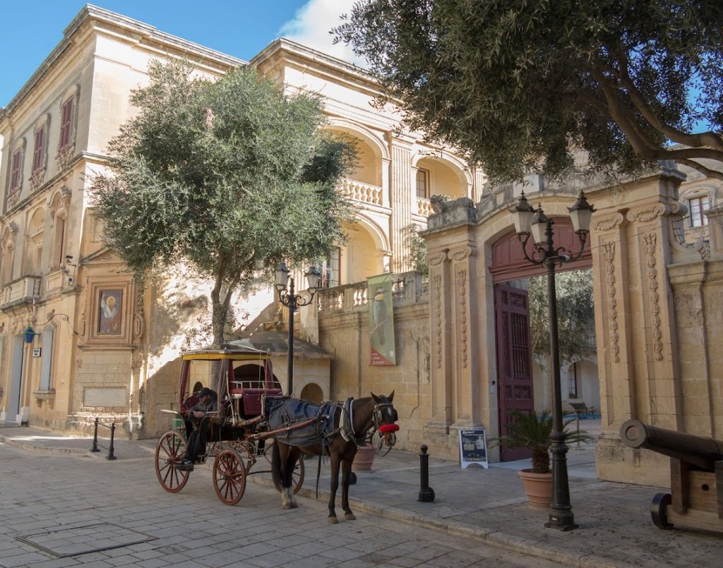 National Museum of Natural History: Malta’s Natural-History Collections in Mdina 5 National Museum of Natural History