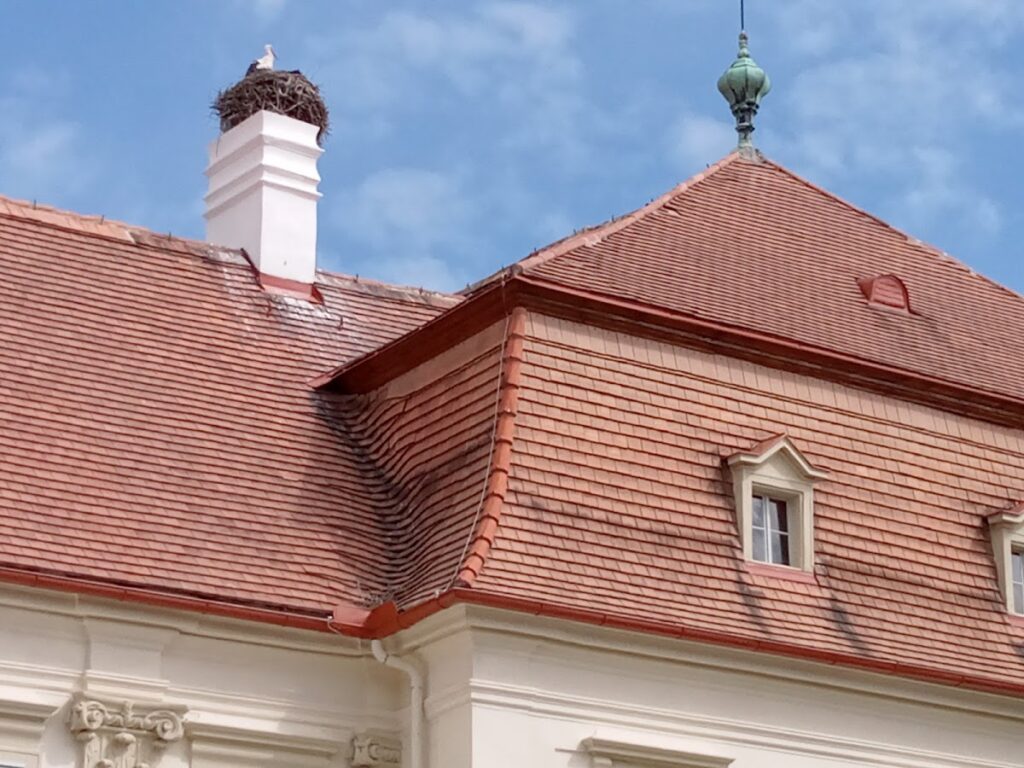 Schloss Marchegg: A Baroque Palace and Former Border Fortress in Austria 4 Schloss Marchegg