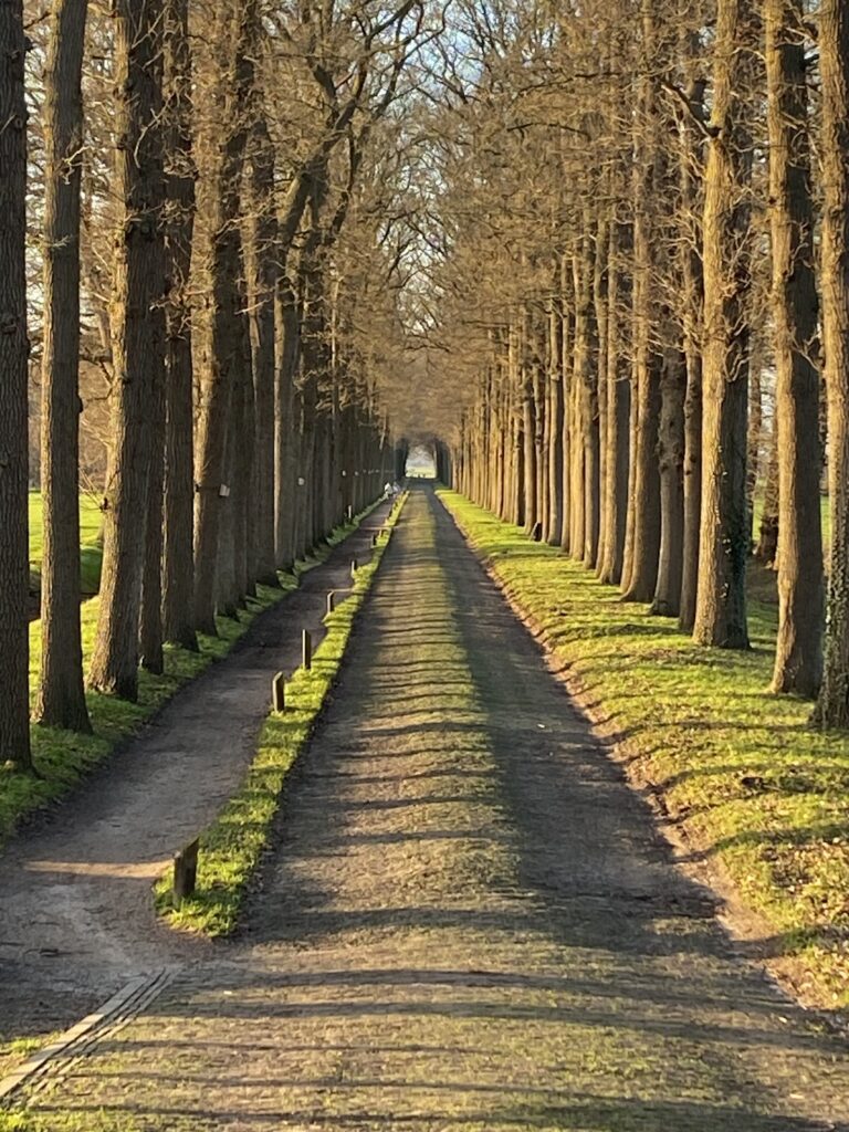 Kasteel Oldenaller: A Classicist Country House in the Netherlands 4 Kasteel Oldenaller