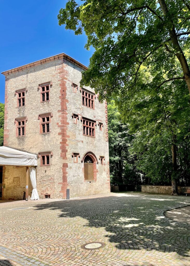 Heusenstamm Castle: A Historic Castle and Town Hall Complex 3 Heusenstamm Castle