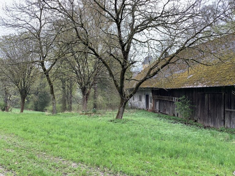 Wasserschloss Freiling: A Medieval Moated Castle in Austria