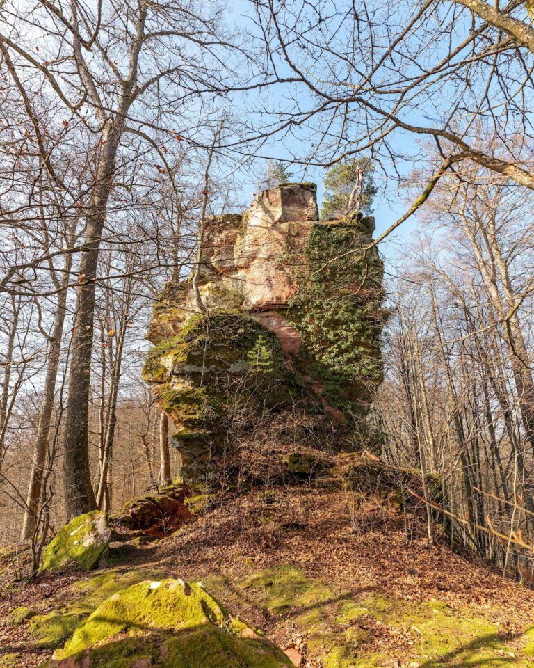 Château du Helfenstein: A Medieval Rock Castle in France