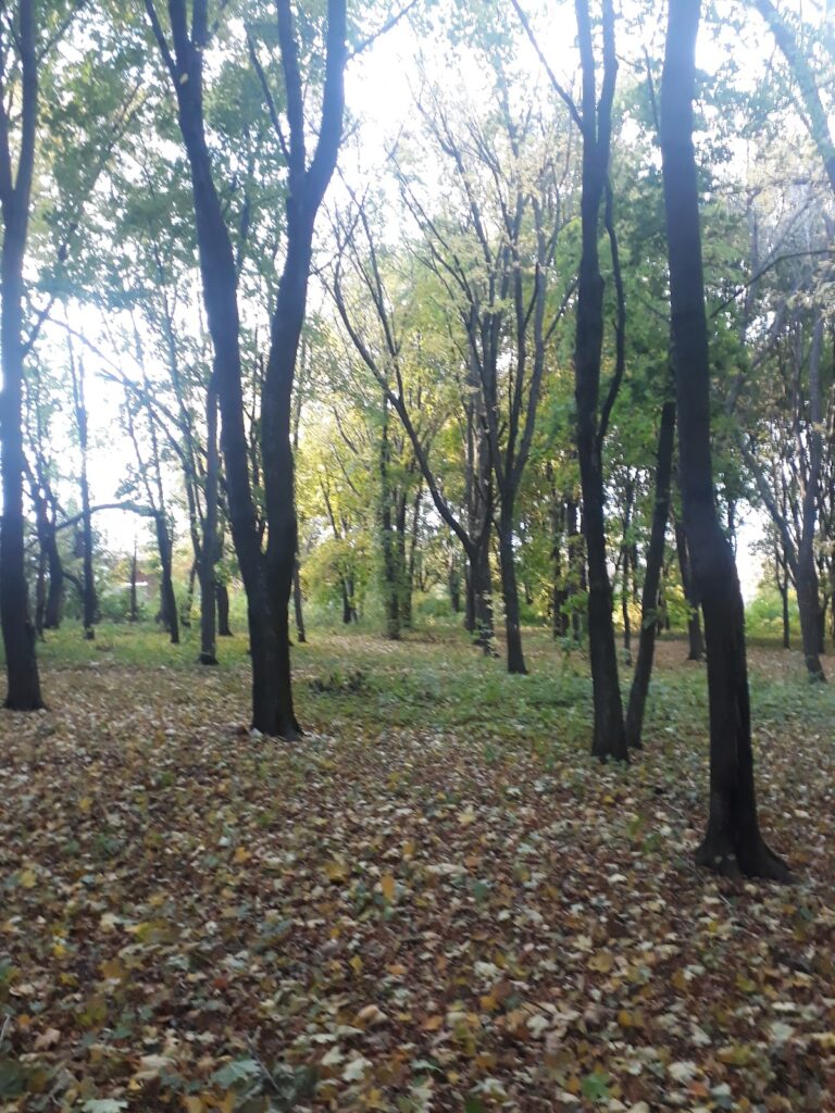 Bilevska Fortress in Krasnohrad: A Fortress of the Ukrainian Defensive Line 4 Bilevska fortress in Krasnohrad