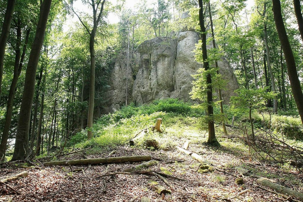 Burgruine Riegelstein