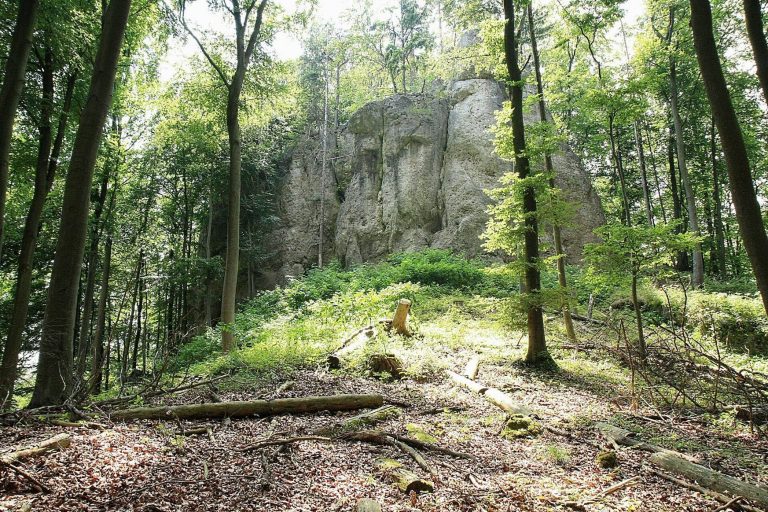 Burgruine Riegelstein: A Medieval Hilltop Castle Ruin in Germany