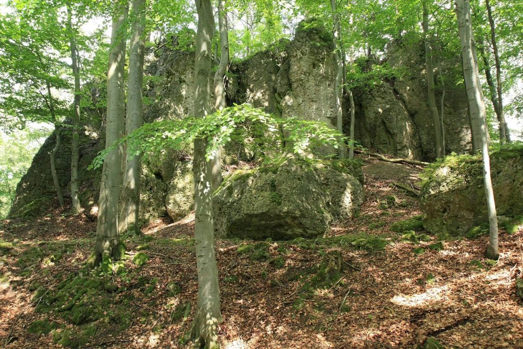 Burgruine Riegelstein