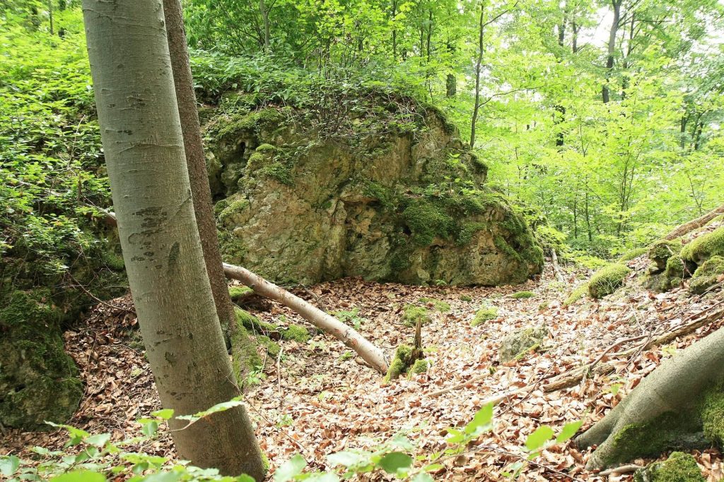 Burgruine Riegelstein