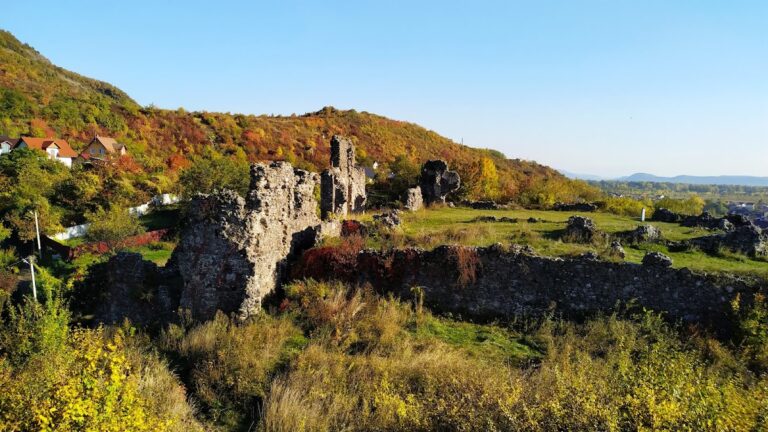 Vynohradiv Castle: A Medieval Earthwork Fortification in Ukraine