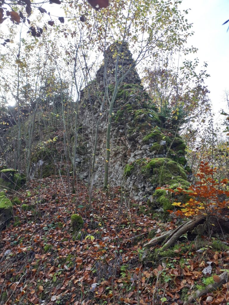 Burg Weckenstein: Ancestral Castle Ruin of the Weckenstein Family in Germany