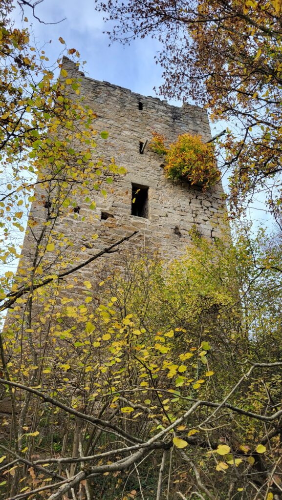 Burgruine Freyenstein: A Medieval Danube Castle in Lower Austria 2 Burgruine Freyenstein