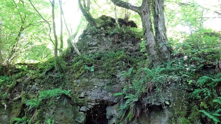 Duchal Castle: A Medieval Scottish Courtyard Fortress