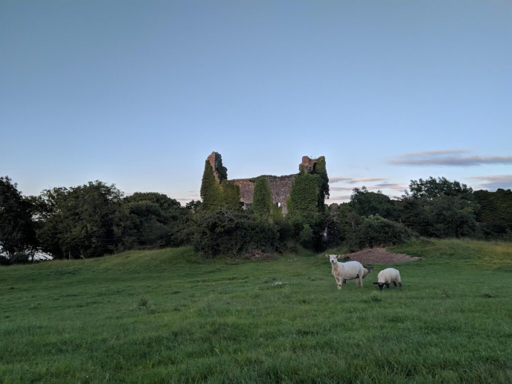 Rindoon Castle: An Anglo-Norman Fortress in Ireland 3 Rindoon Castle