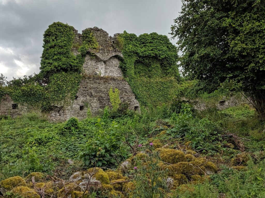Rindoon Castle: An Anglo-Norman Fortress in Ireland 5 Rindoon Castle