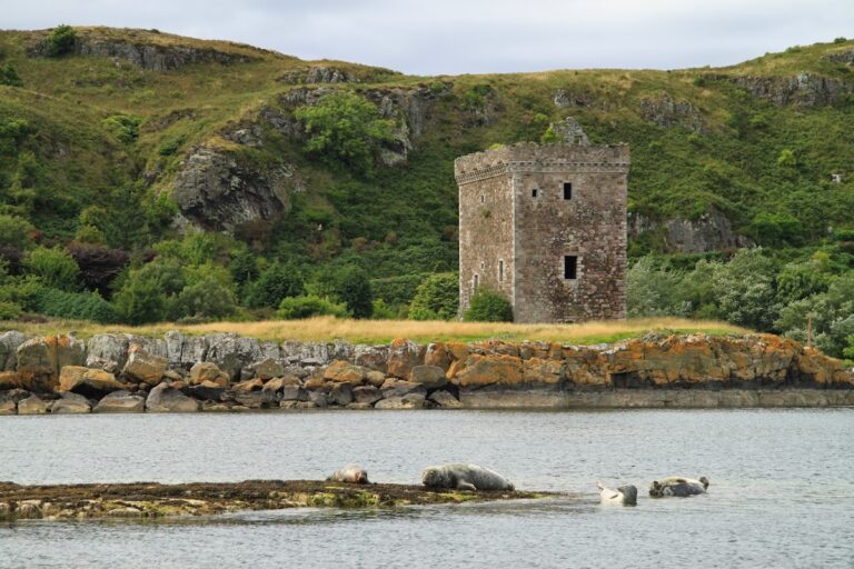 Little Cumbrae Castle: A Fortified Tower House on Castle Island