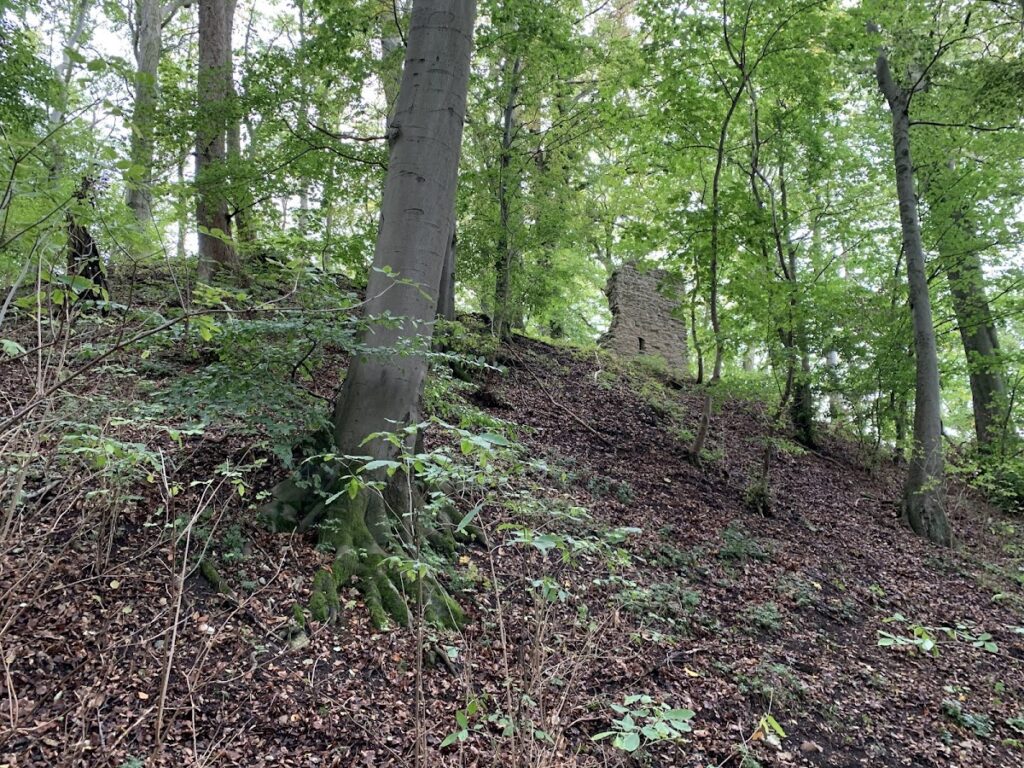Harburg (Eichsfeld): A Medieval Hilltop Castle in Thuringia 2 Harburg (Eichsfeld)