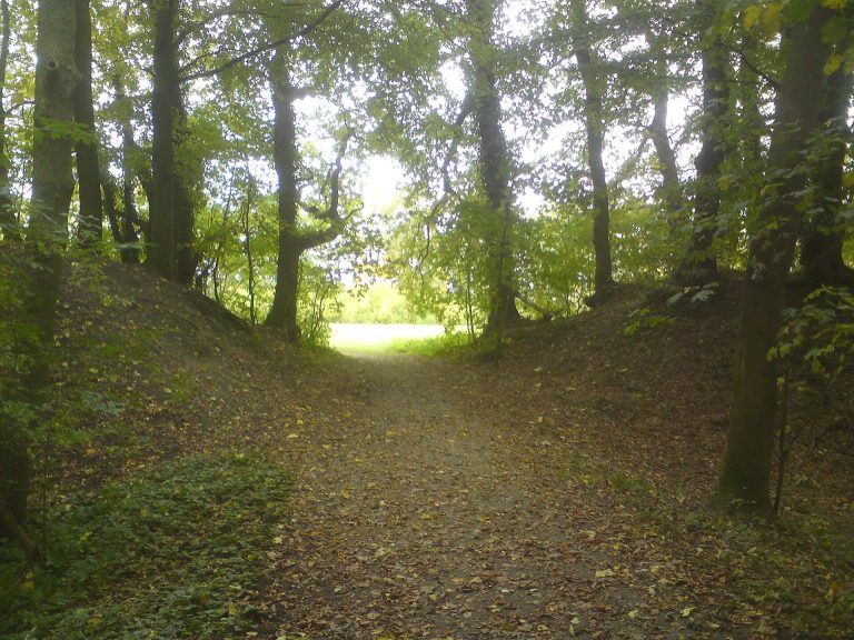 Ertheneburg: A Medieval Elbe-Crossing Fortification in Germany