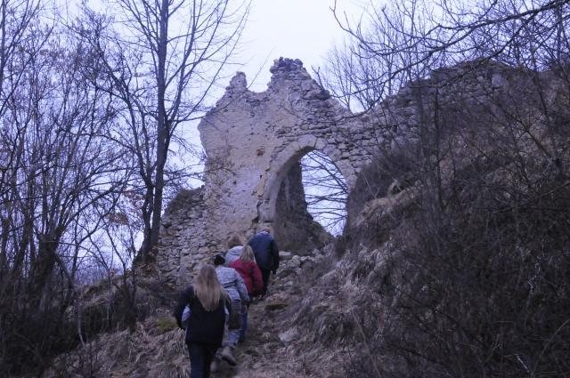 Burg Lutzmannstein: A High-Medieval Castle and Lordship in Germany
