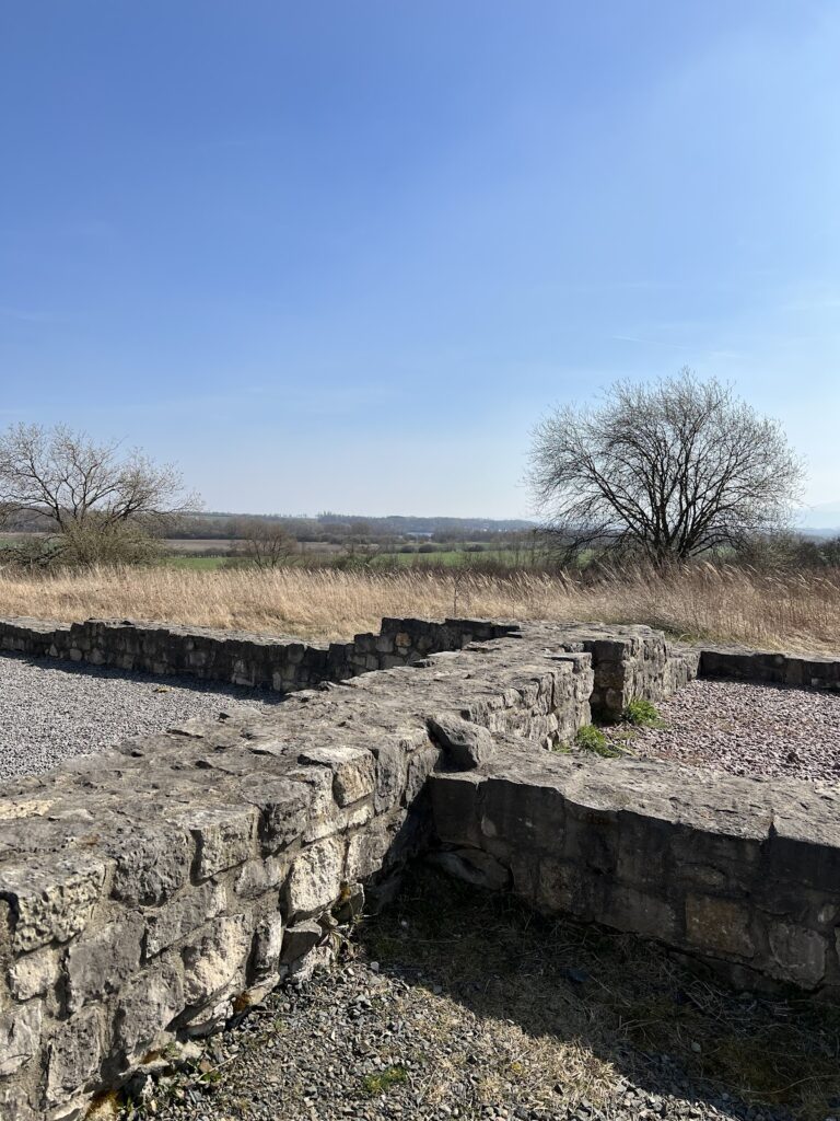 Royal Palace of Werla: An Ottonian and Salian Royal Residence in Germany 2 Royal palace of Werla