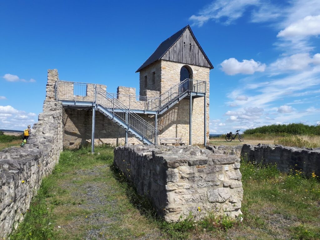 Royal Palace of Werla: An Ottonian and Salian Royal Residence in Germany 3 Royal palace of Werla
