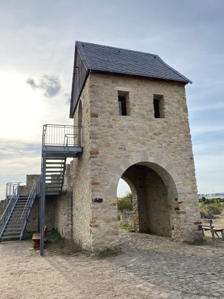 Royal Palace of Werla: An Ottonian and Salian Royal Residence in Germany 5 Royal palace of Werla