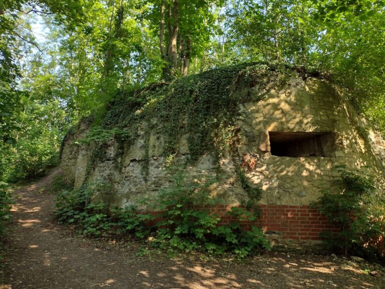 Calenberg Castle: A Welf Fortress and Administrative Centre in Germany