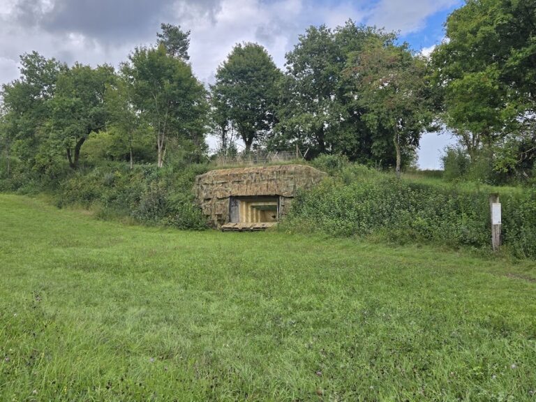 Fort Reuenthal: A Swiss Army Border Artillery Fortification