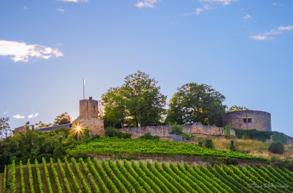 Weinsberg Castle: A Medieval Hilltop Fortress in Germany 2 Weinsberg Castle