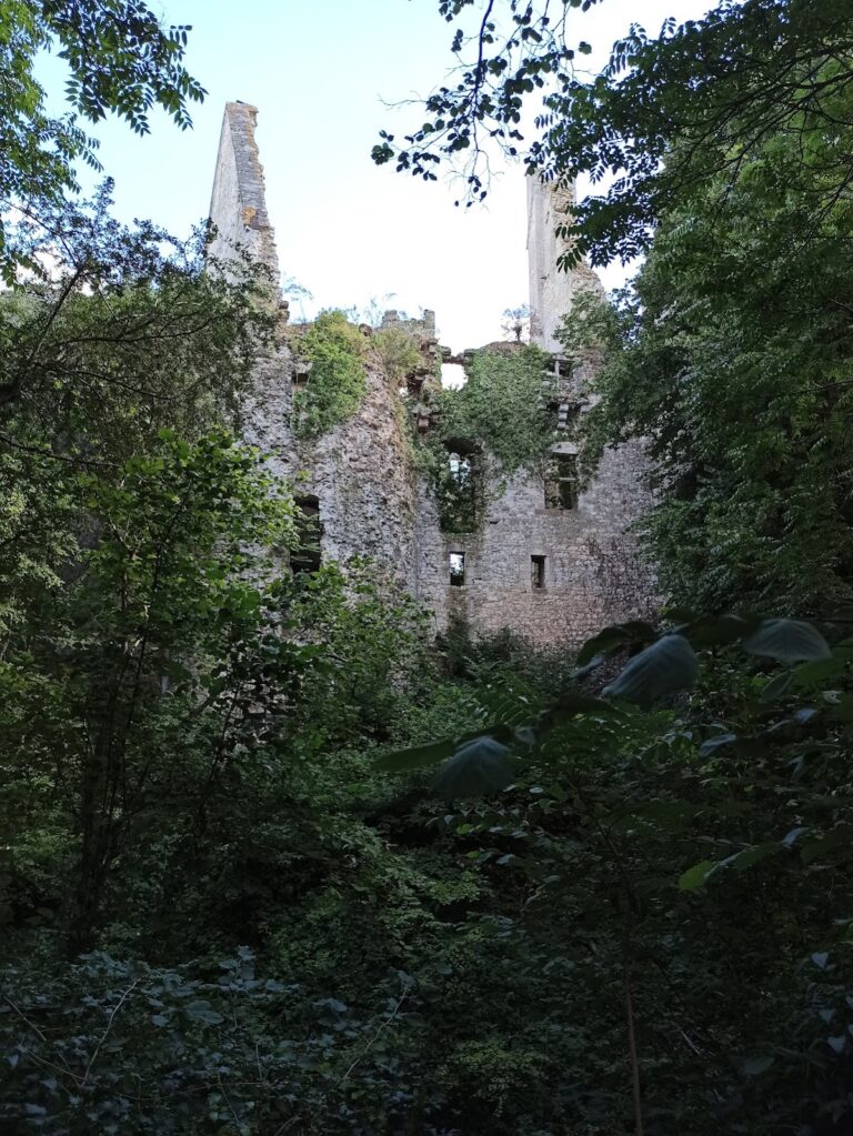 Château de Bois-Sire-Amé: A Ruined French Château in Vorly